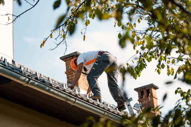 Best Local Roofing Companies  in Moss Beach, CA